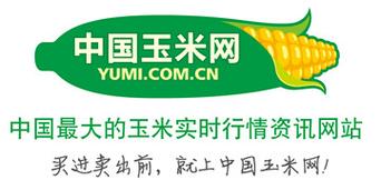 大连信息咨询 滨城企业与市民的数智化信息门户